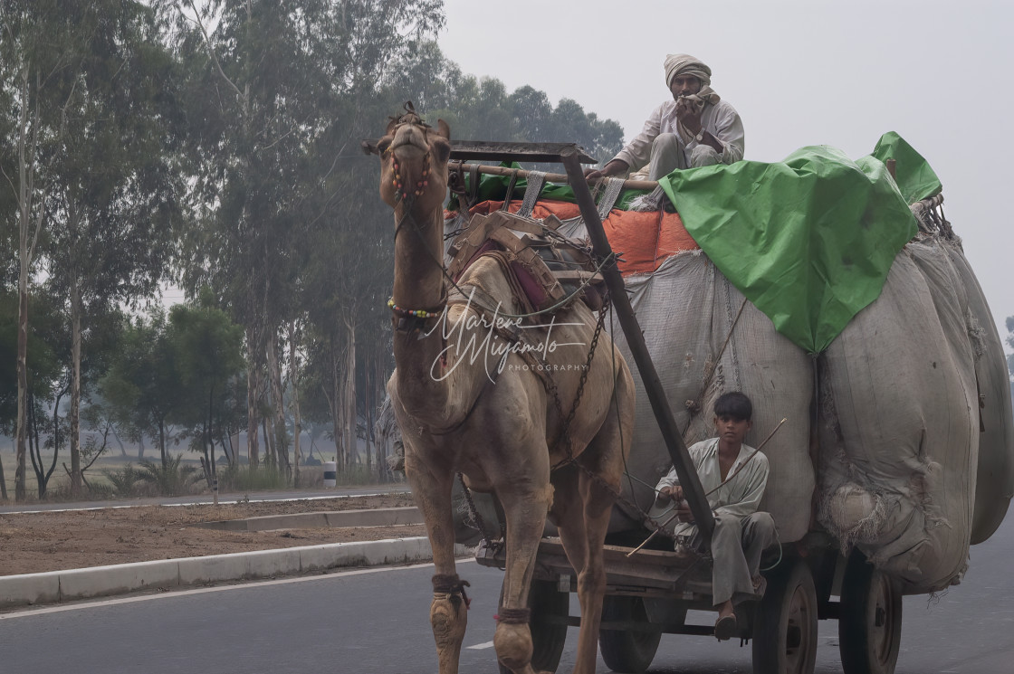 "The Road from New Delhi to Agra I" stock image