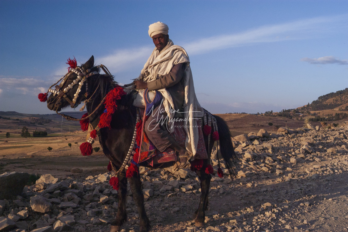 "Amhara Man Astride Abyssinian Horse in Traditional Tack" stock image