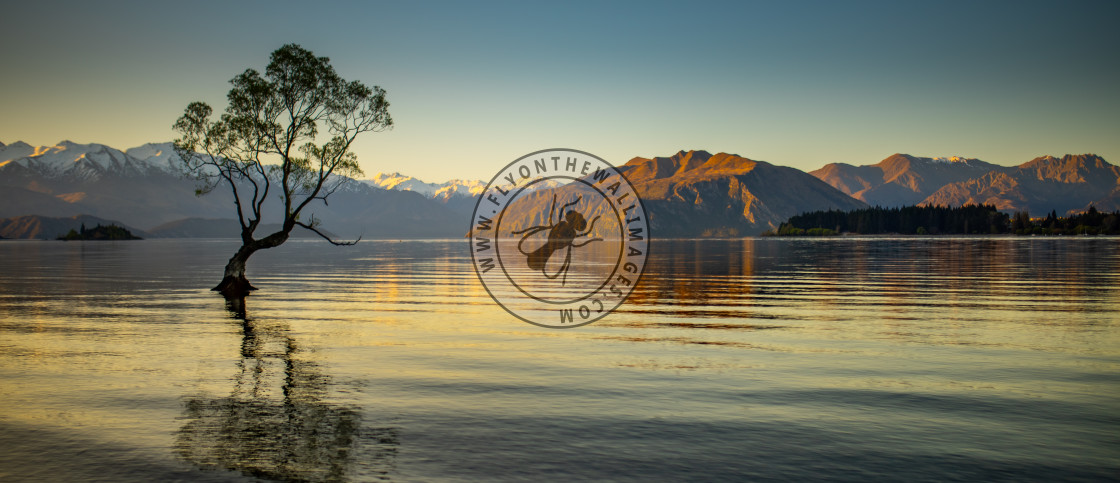 "'That Wanaka Tree' - Wanaka - New Zealand" stock image