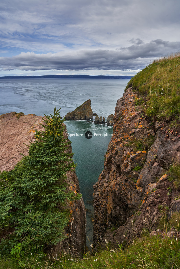 "Cape Split - Portrait" stock image