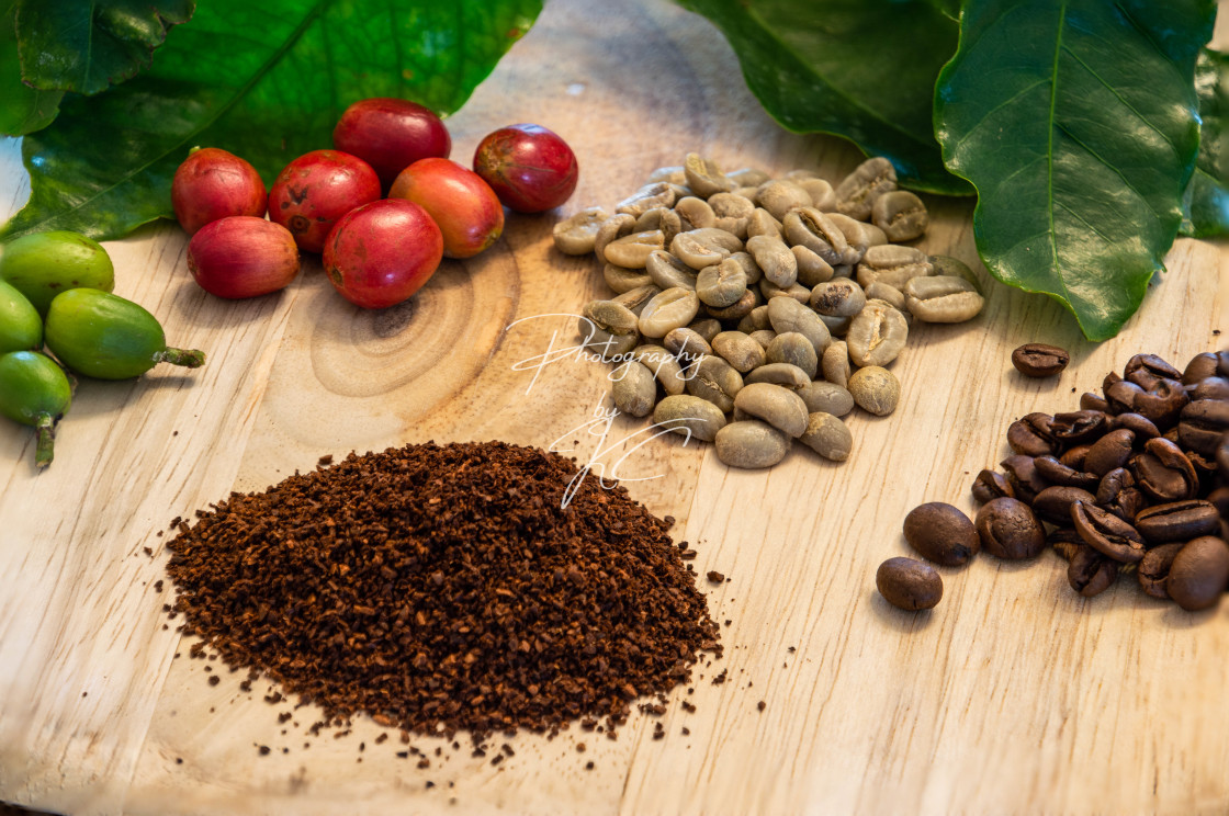 "Evolution of coffee" stock image