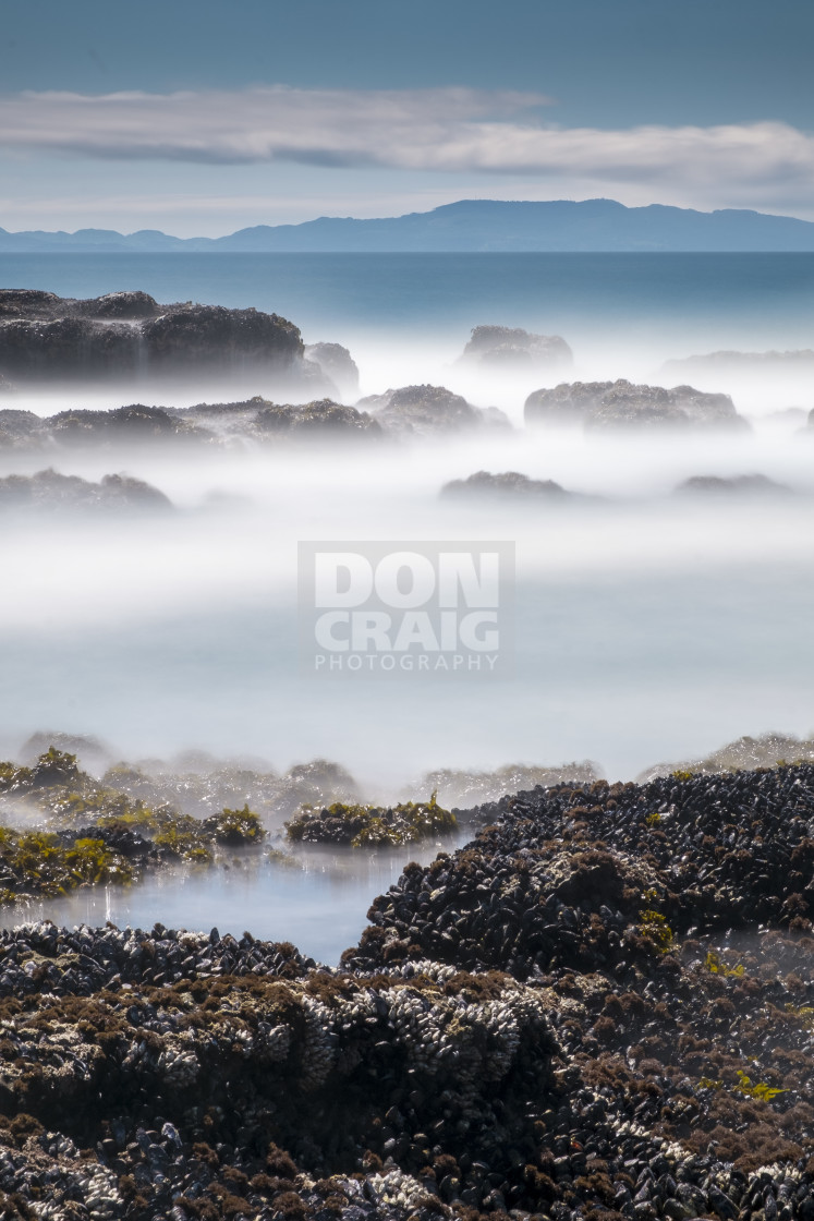 "Botanical Beach" by Don Craig - £15.00 "Botanical Beach" stock image