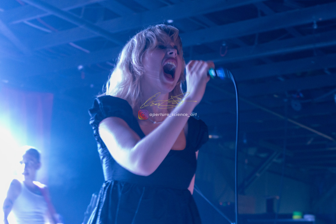 "Wolf Alice 23" stock image