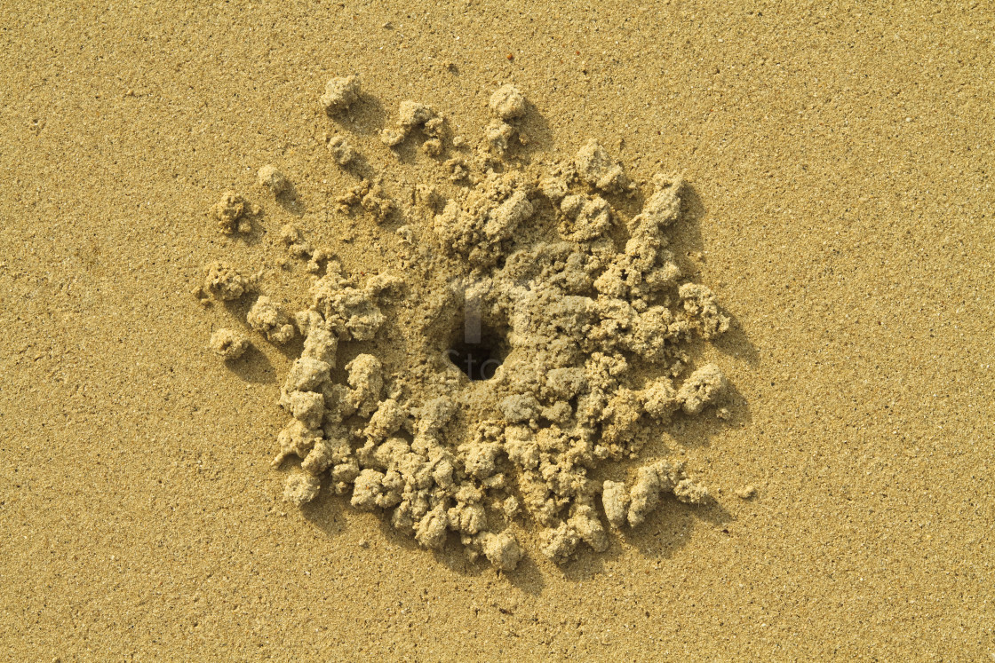 "Crab hole in the sand" stock image