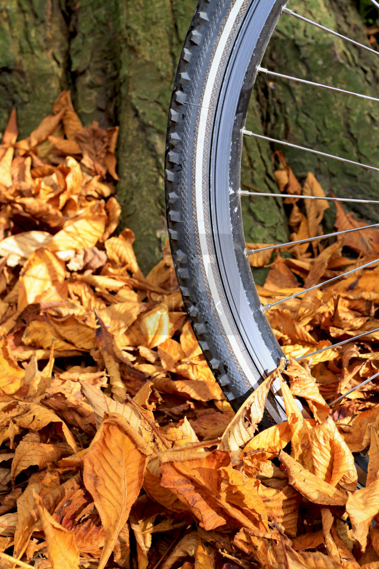 "Tire tread" stock image