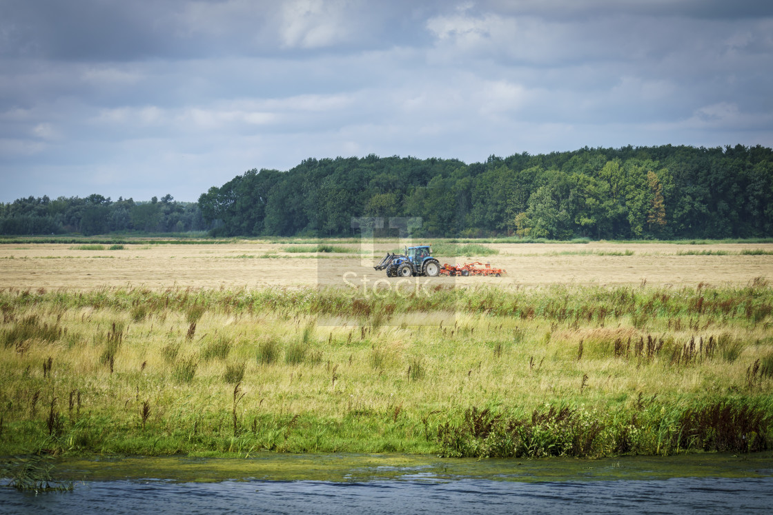 "View across the biesbosch" stock image