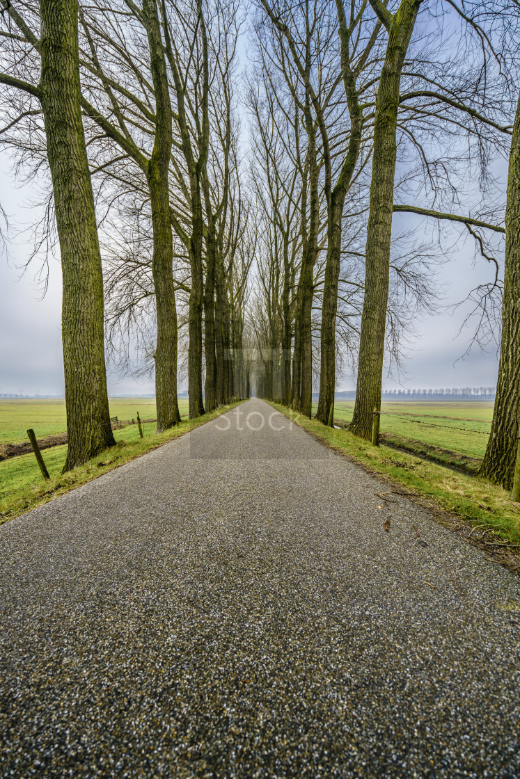 "Endless road two" stock image