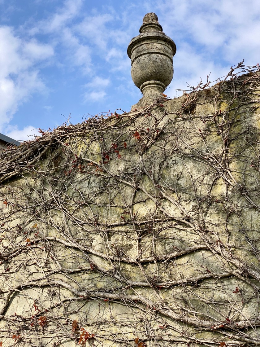 "Spring ivy growing and climbing up an old decorated concrete wall. New life awakening in springtime." stock image