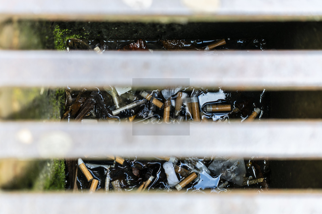 "Cigarette butts in drain water sewer focus on butt" stock image