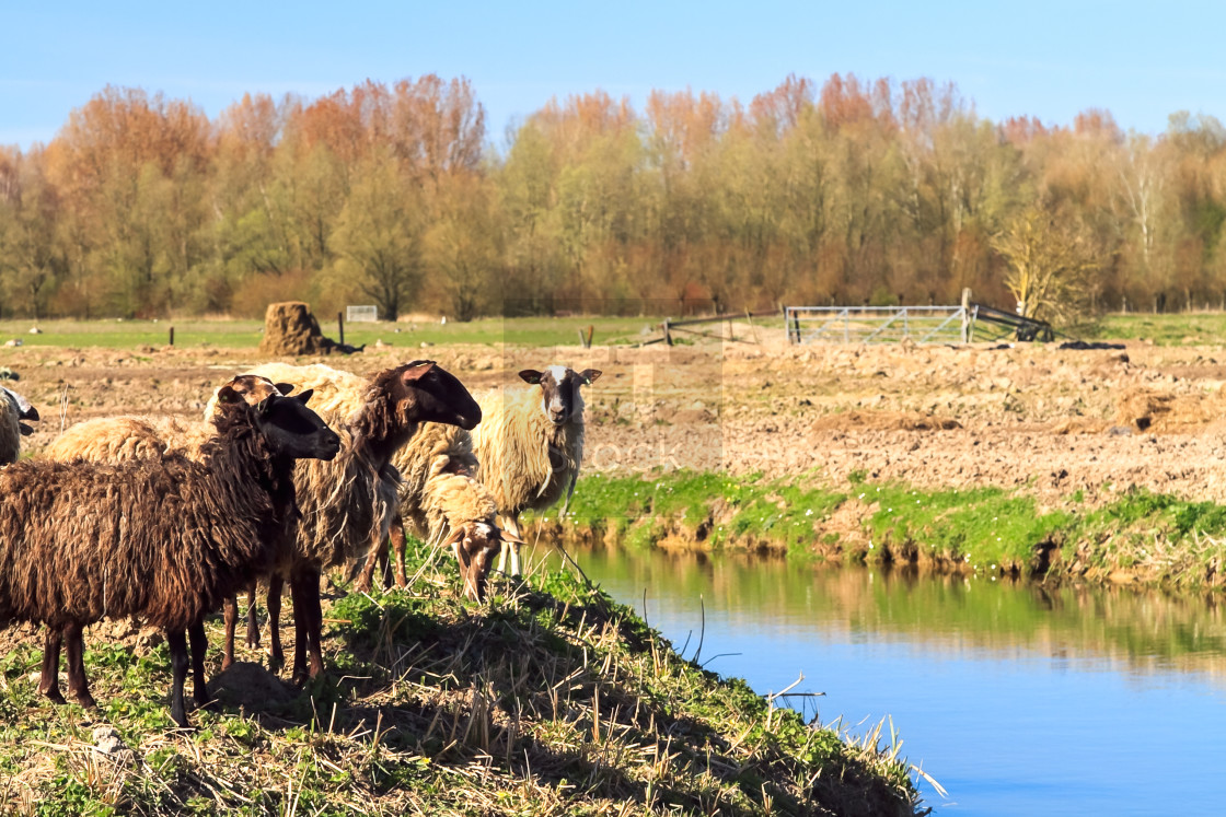 "Backdrop of a calm autumn evening" stock image