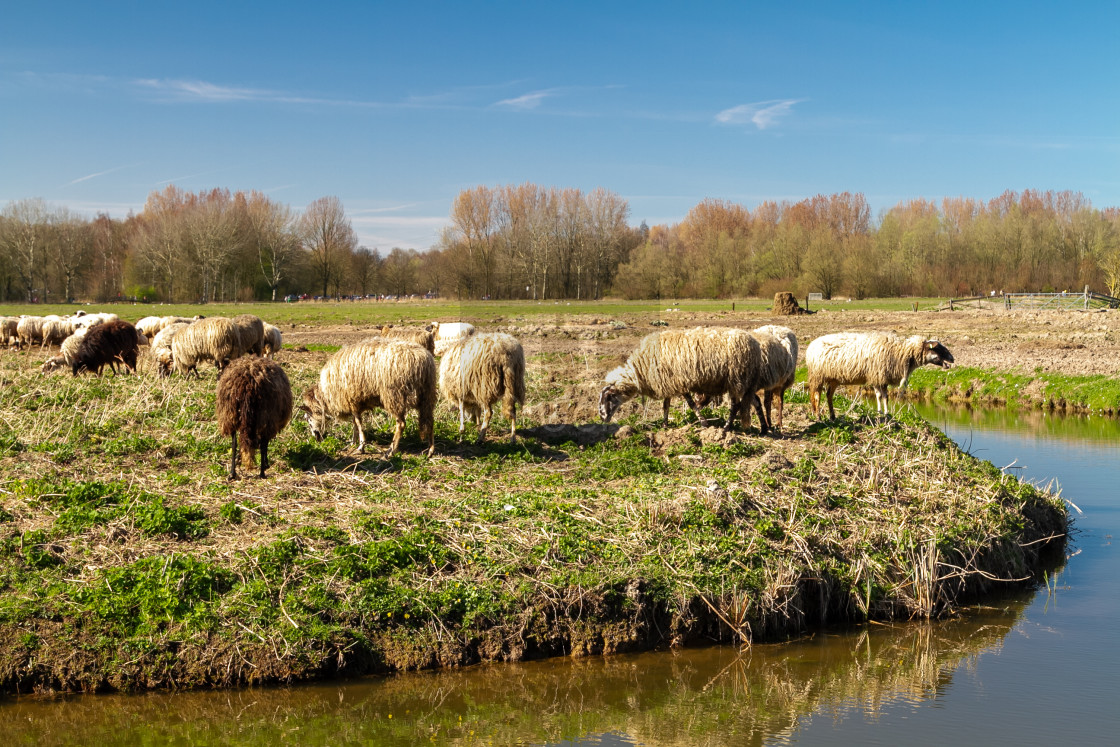 "Scene of tranquility and natural beauty." stock image