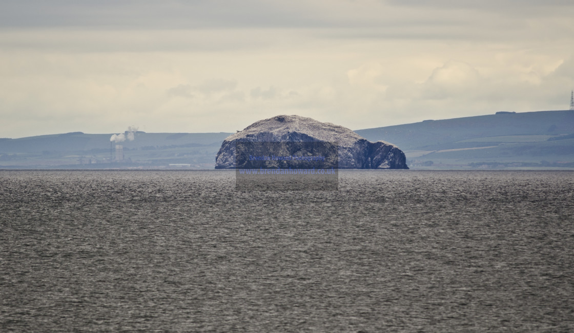 "Bass Rock" stock image