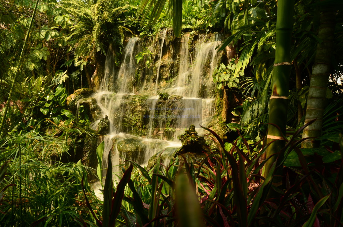 "Waterfall" stock image