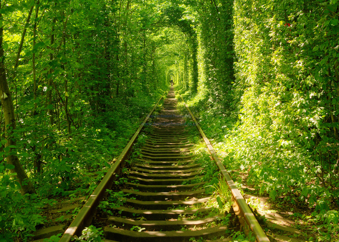 "Tunnel of Love" stock image