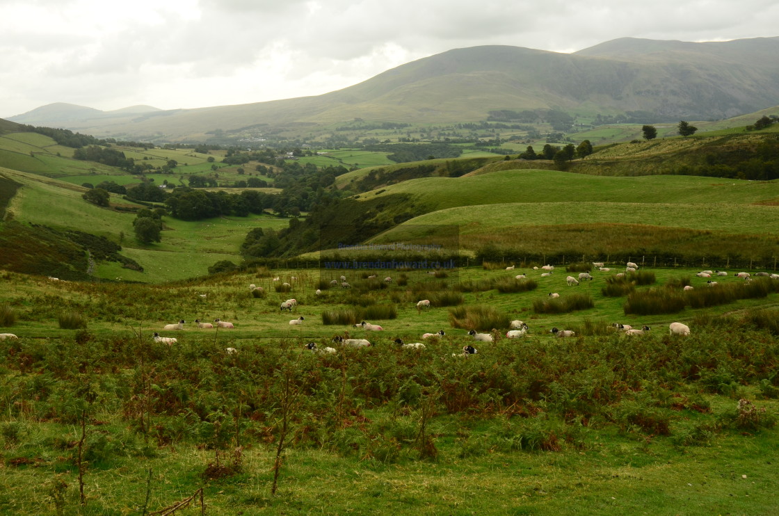 "Lake District" stock image