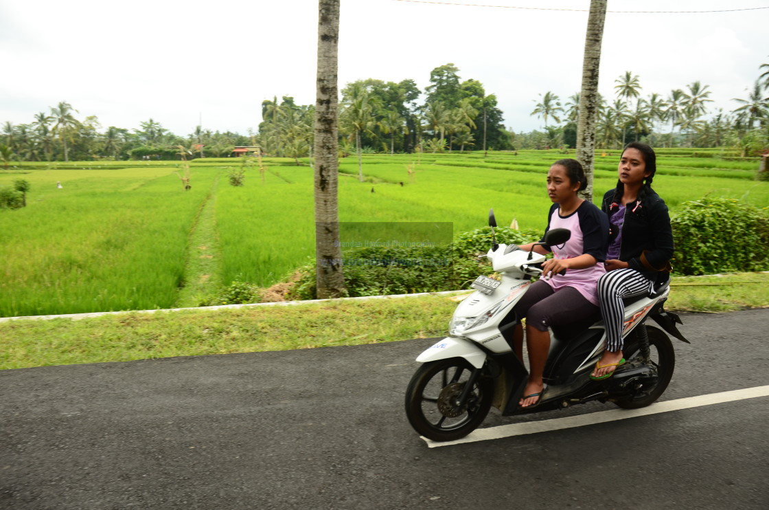 "Bali Transport" stock image