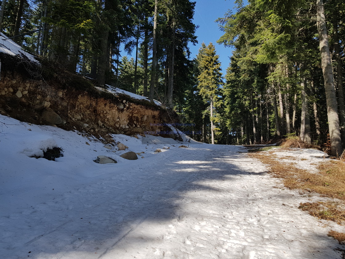 "Landscape near Borovets, Bulgaria" stock image