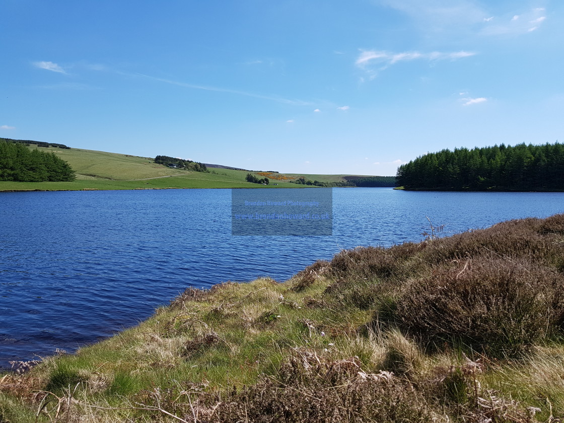 "Whiteadder Reservoir, East Lothian, Scotland" stock image