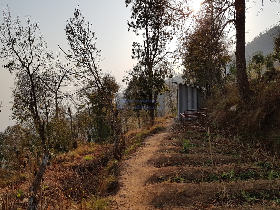 "Small scale horticulture, Nepal" stock image