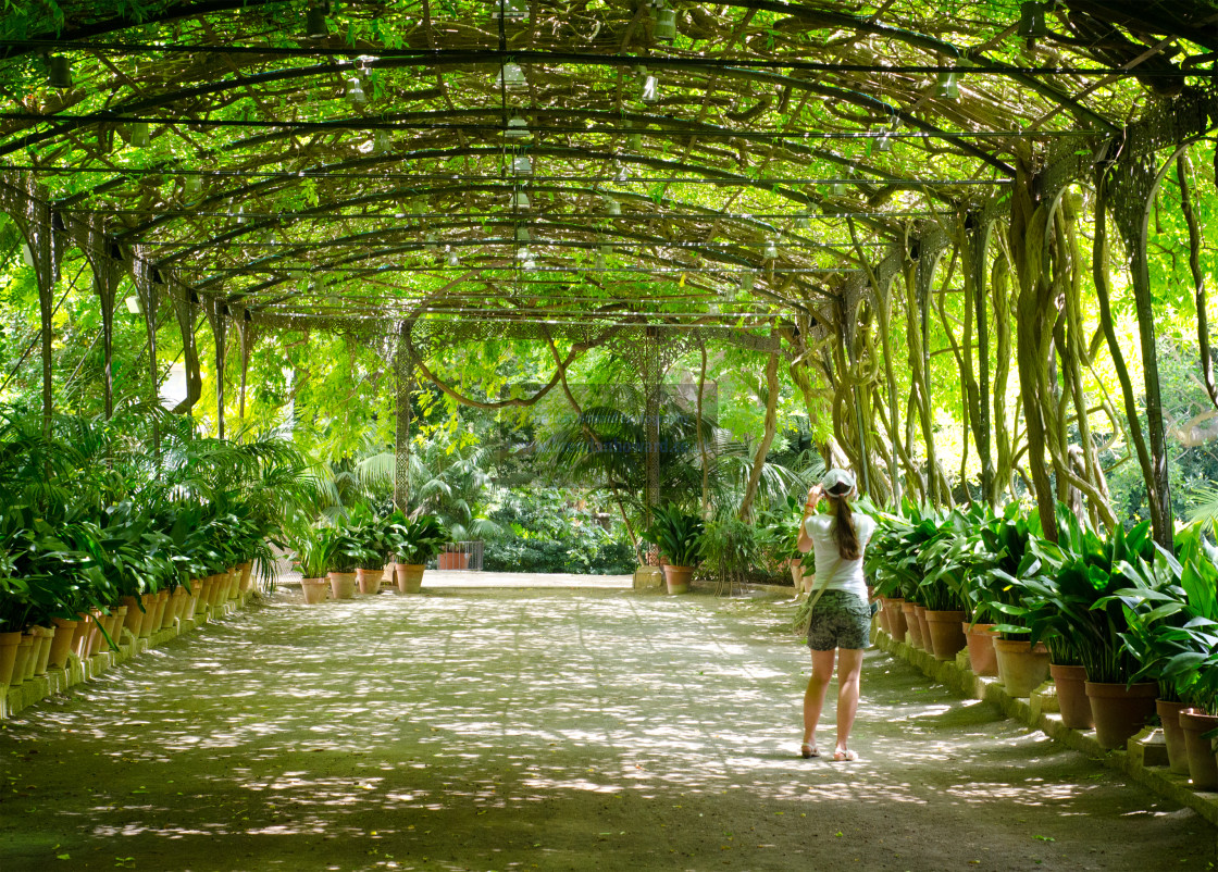 "Malaga Botanical Gardens" stock image