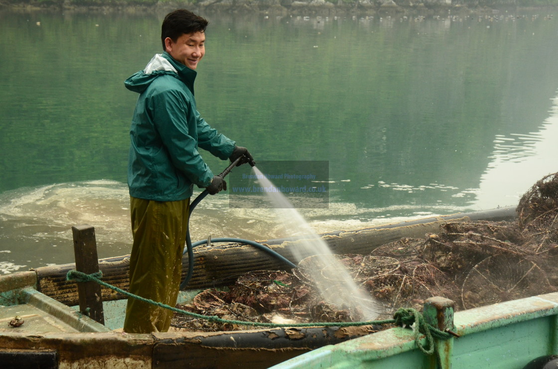 "Oyster Farmer in Ha Long Bay, Vietnam" stock image