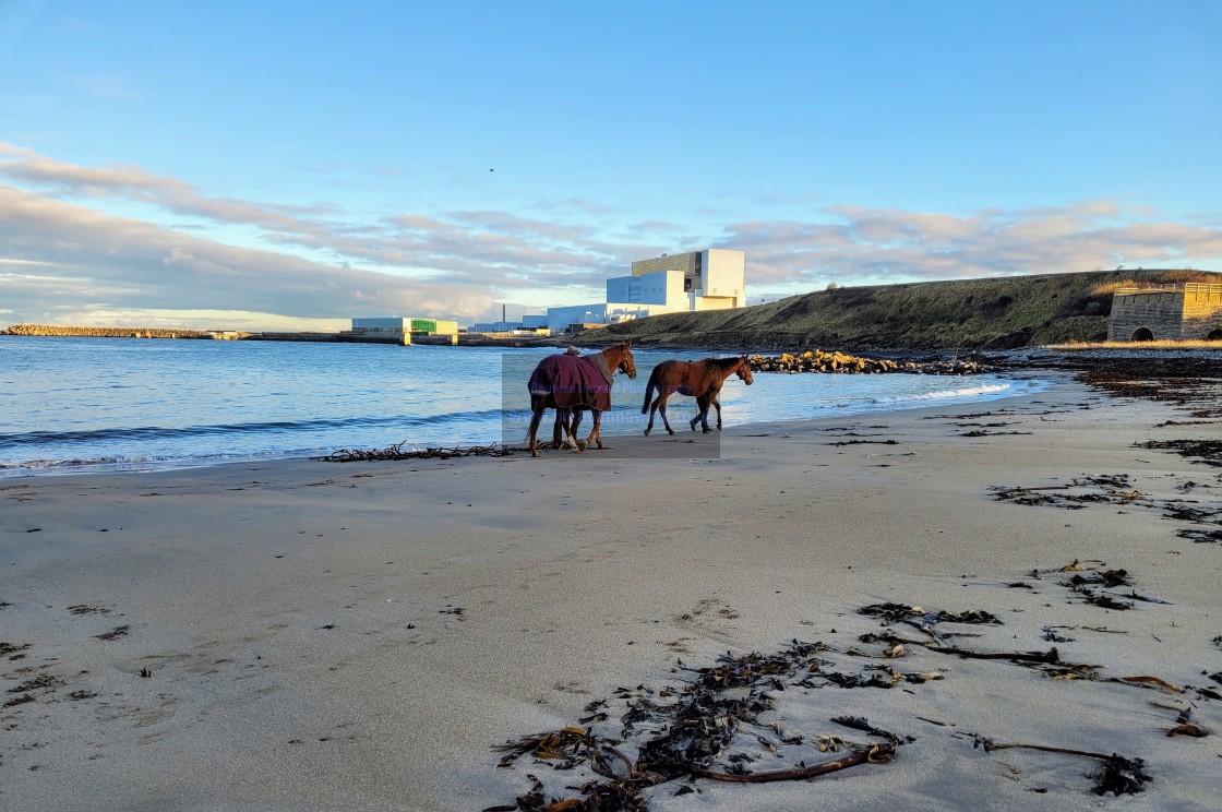 "Skateraw Beach, East Lothian" stock image