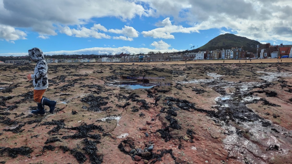 "North Berwick Beach" stock image