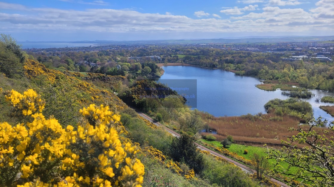 "Duddingston Loch, Edinburgh" stock image