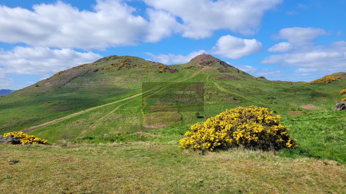 "Arthur's Seat" stock image