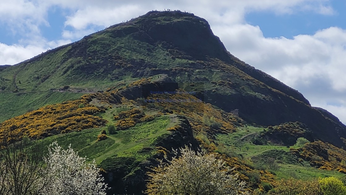 "Arthur's Seat, Edinburgh" stock image