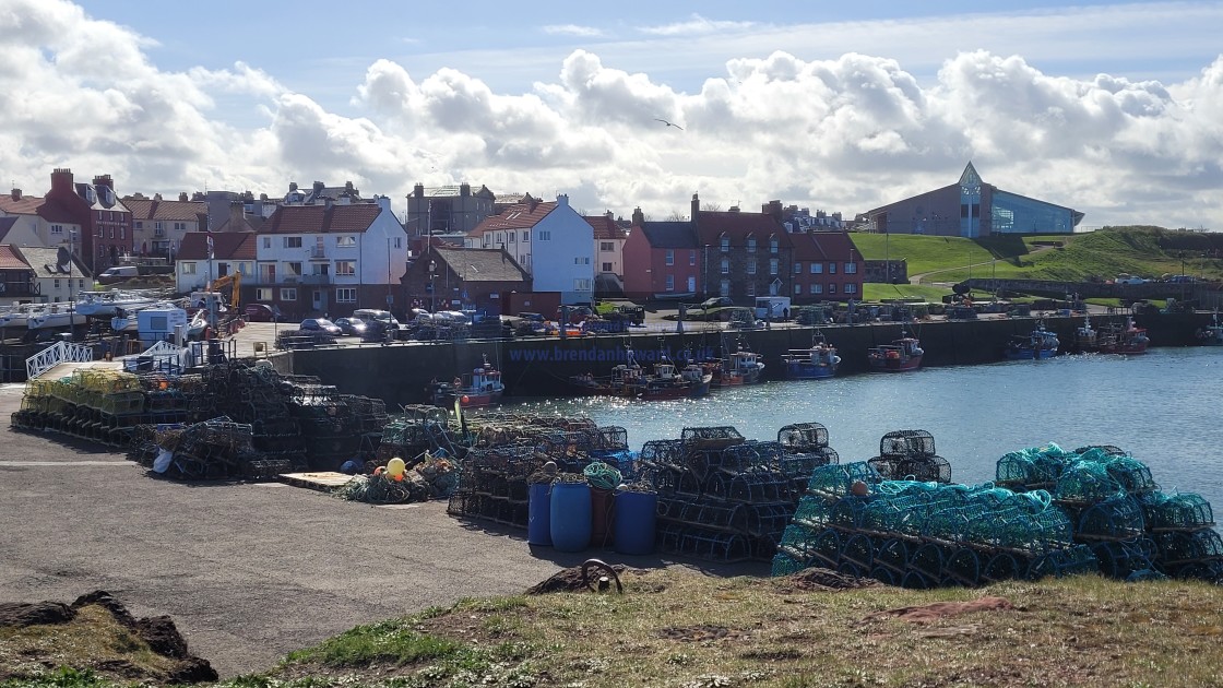 "Dunbar Harbour, Scotland" stock image