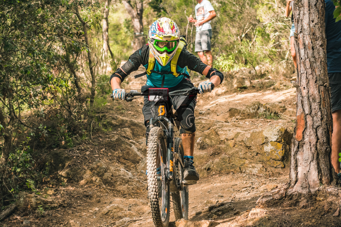 "Enduro CatBike 2022" stock image