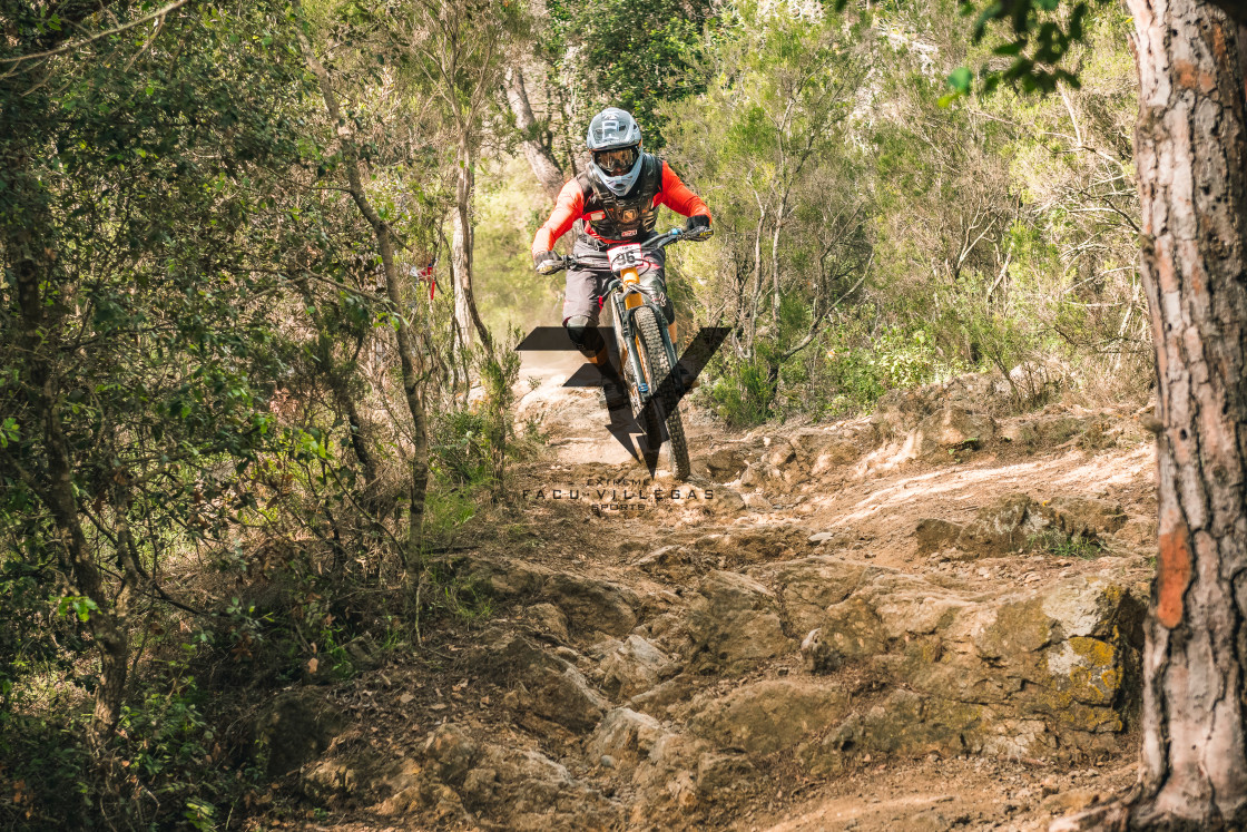 "Enduro CatBike 2022" stock image