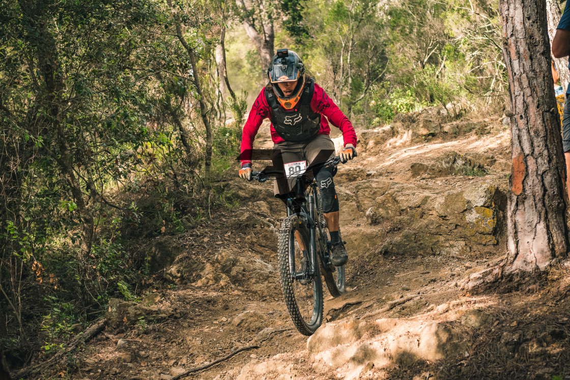 "Enduro CatBike 2022" stock image