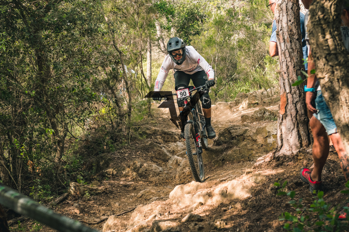 "Enduro CatBike 2022" stock image