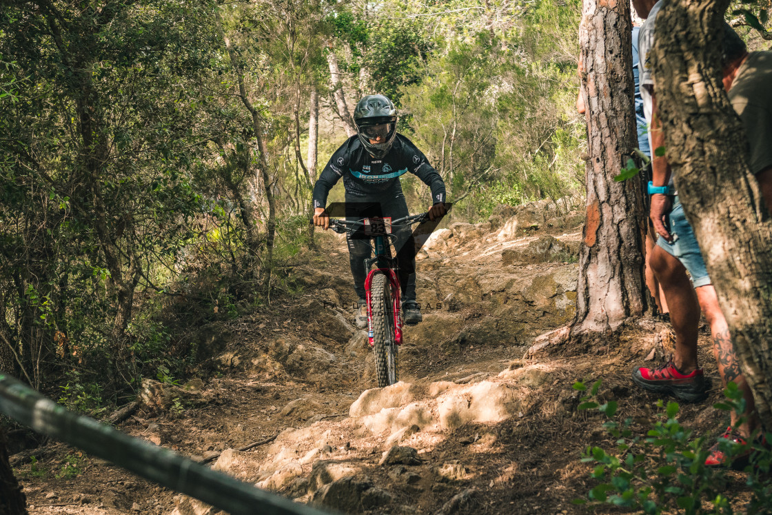 "Enduro CatBike 2022" stock image