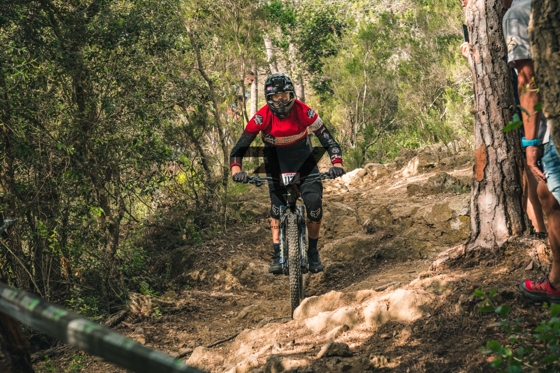 "Enduro CatBike 2022" stock image