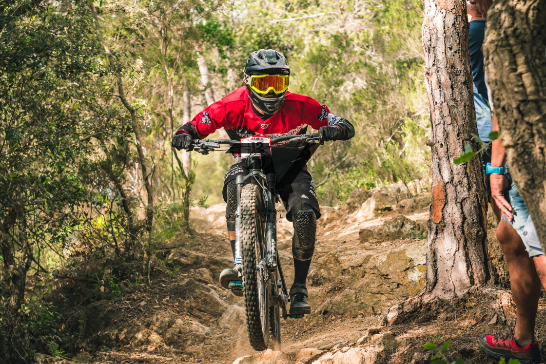 "Enduro CatBike 2022" stock image