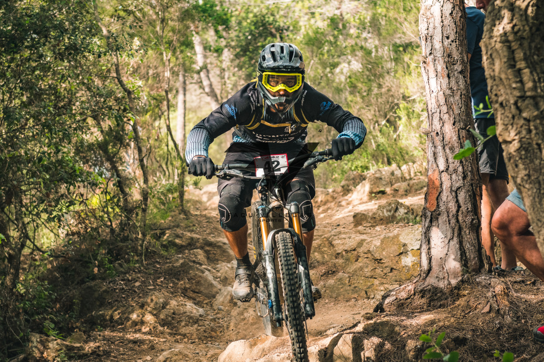 "Enduro CatBike 2022" stock image