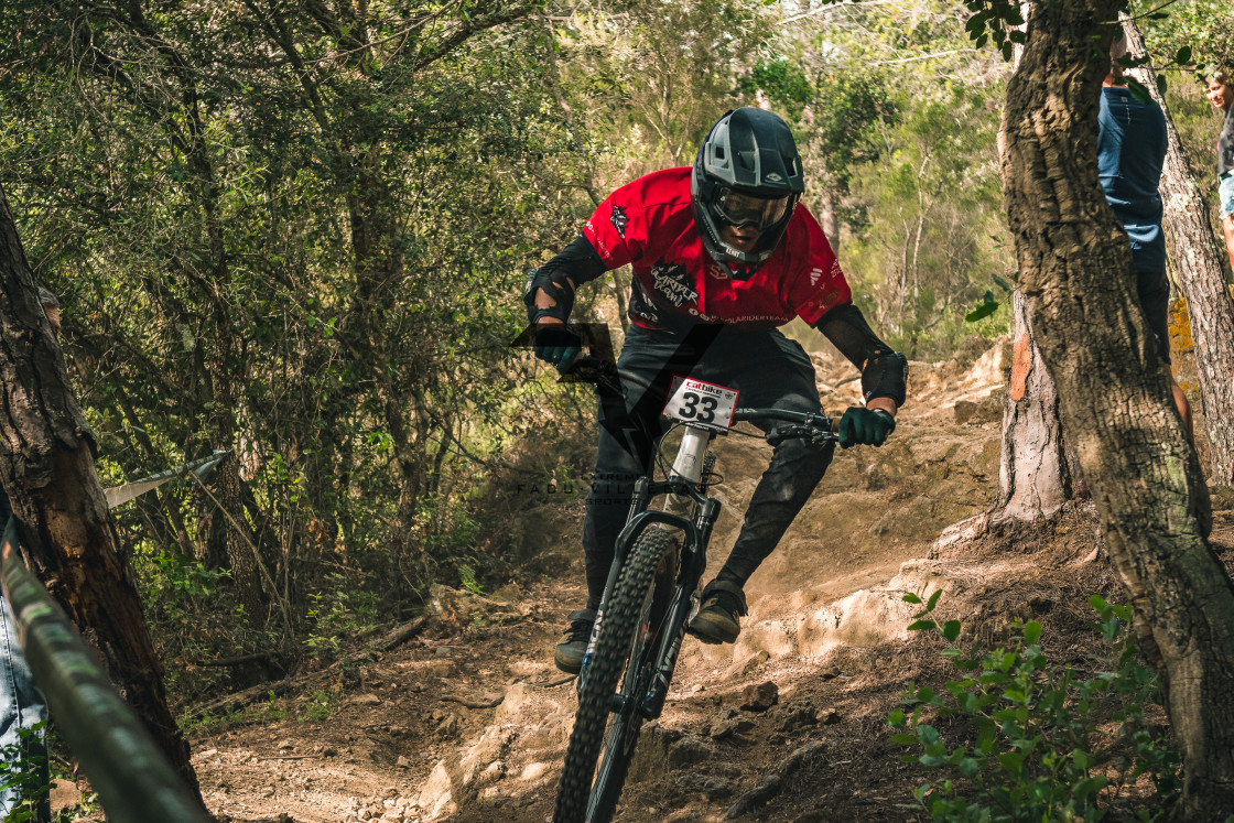 "Enduro CatBike 2022" stock image