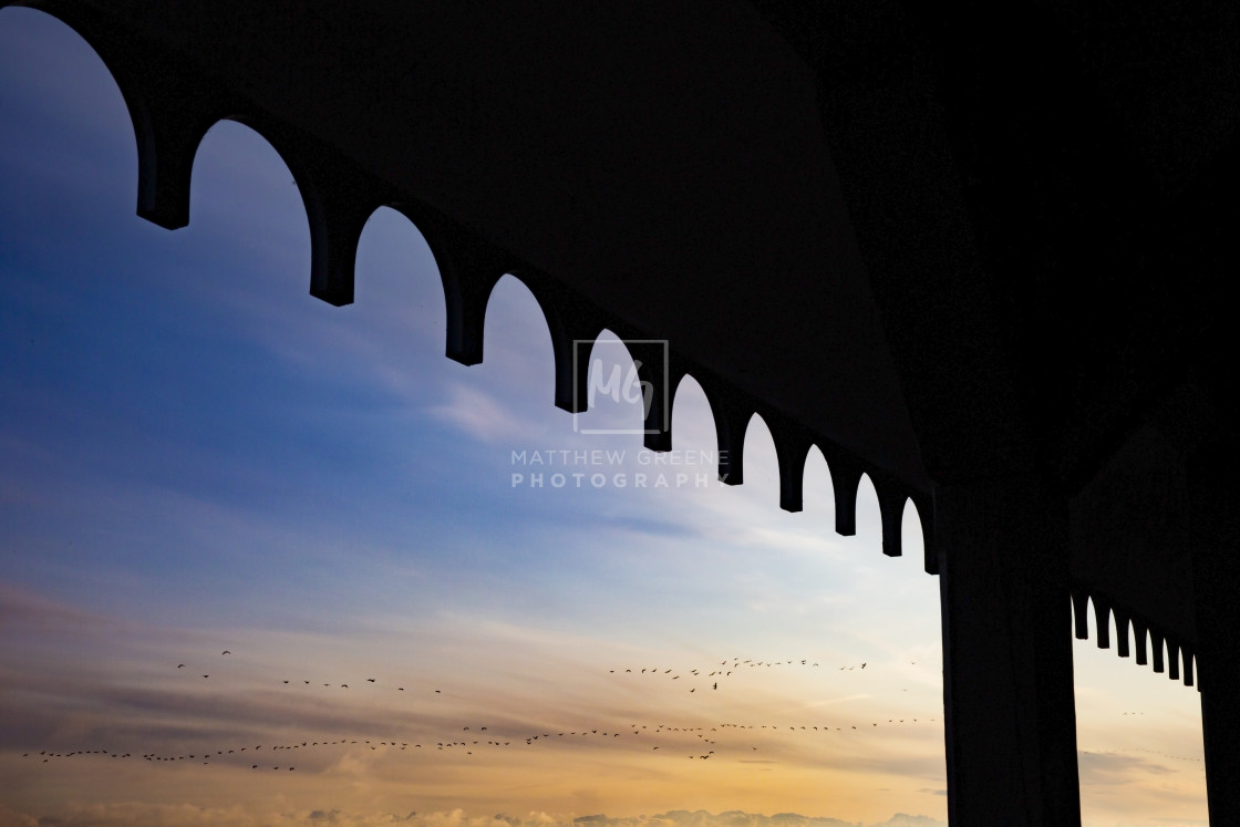 "Canada Geese Migration" stock image