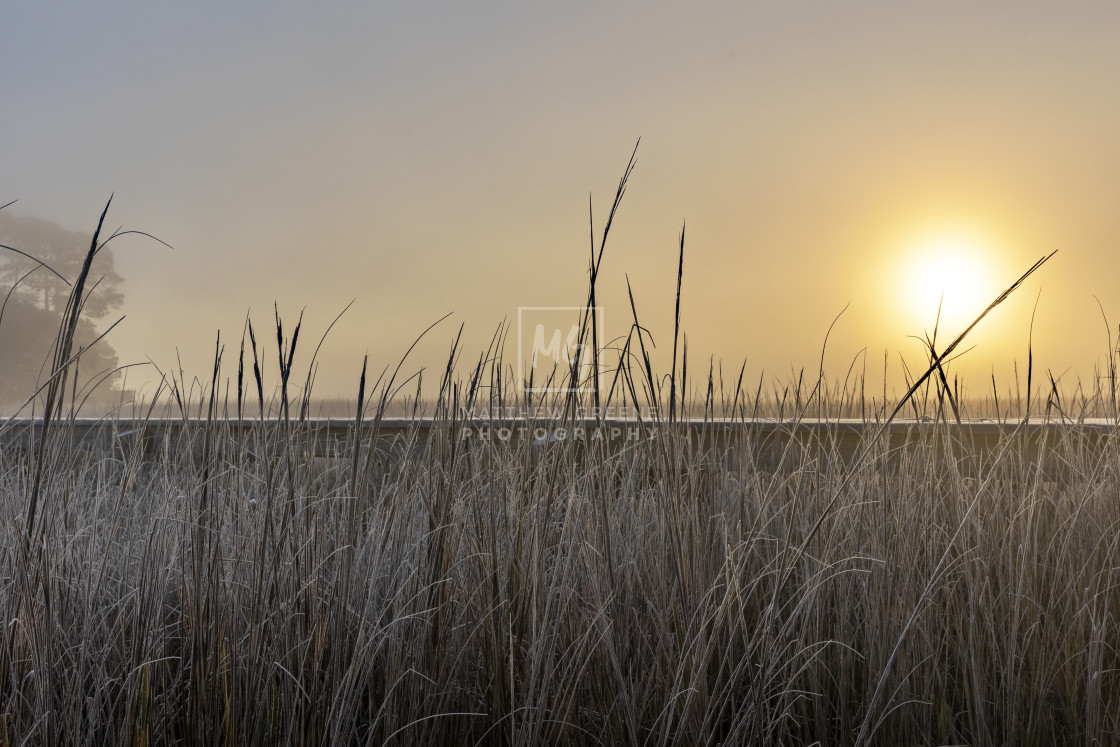 "Sunrise over the Marsh" stock image