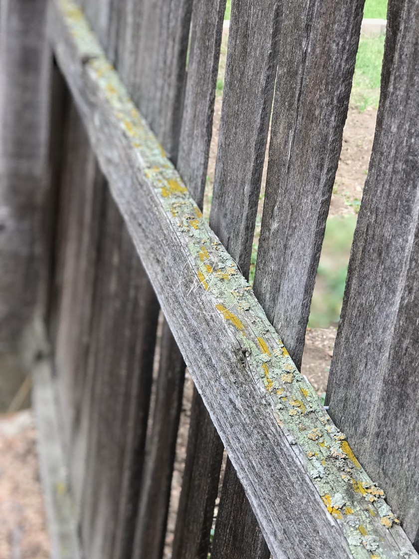 "The Old Fence" stock image