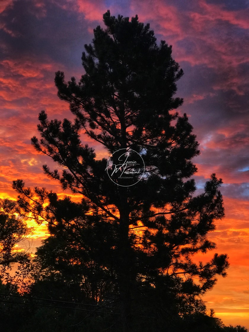 "Sky on Fire" stock image