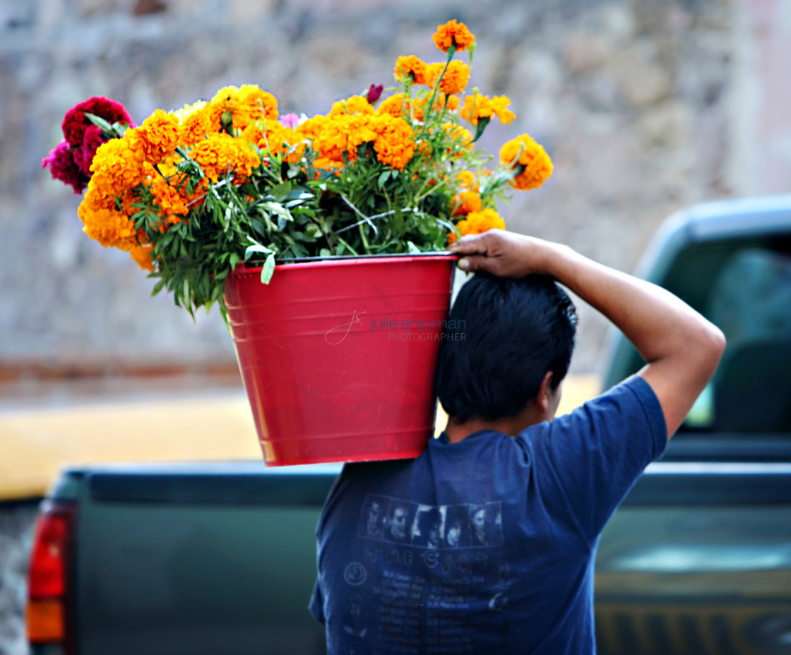 "Marigold Man" stock image