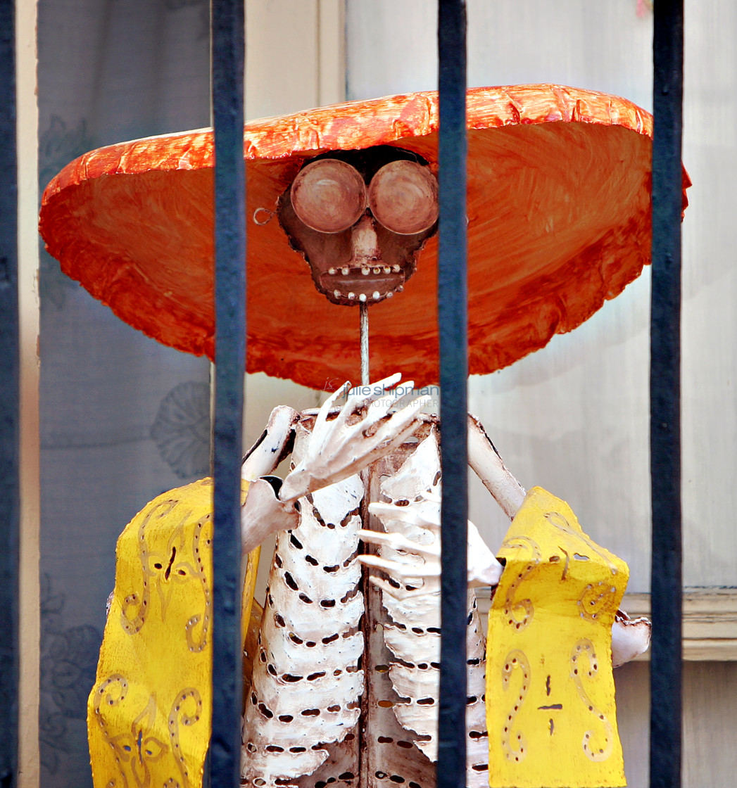 "Behind Bars" stock image