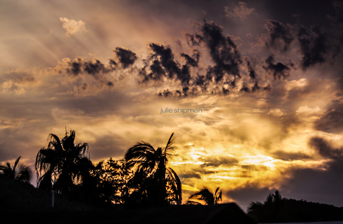 "Sunset over the Palms" stock image