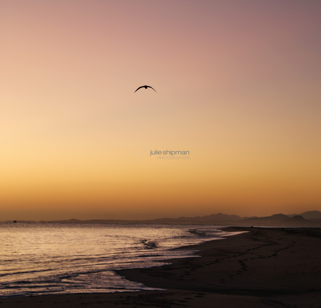 "Flight at Sunrise" stock image