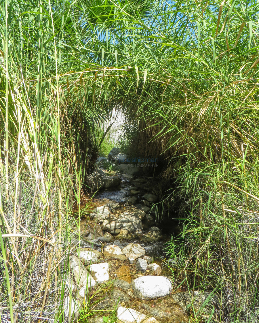 "Trail to the Springs" stock image