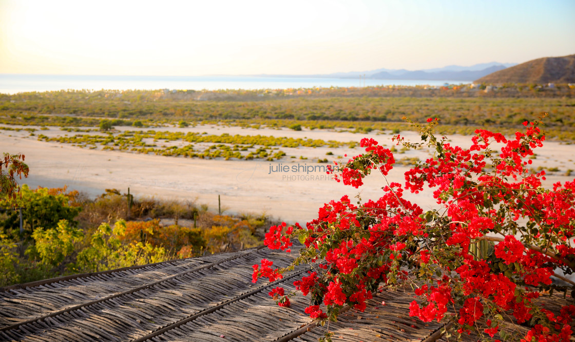 "Arroyo View" stock image